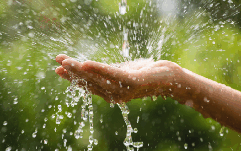 Führung: Unser (Ab)wasser – wie wird es gereinigt?